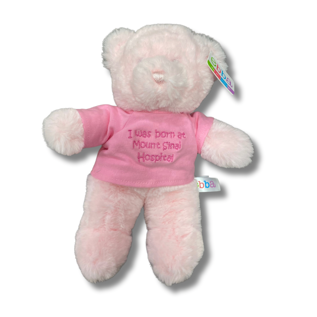 mount sinai teddy bear