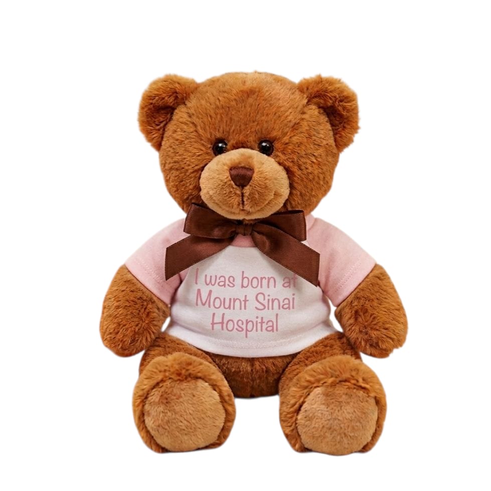 NEW I Was Born at Mount Sinai Teddy Bear (Brown/Pink Tee)