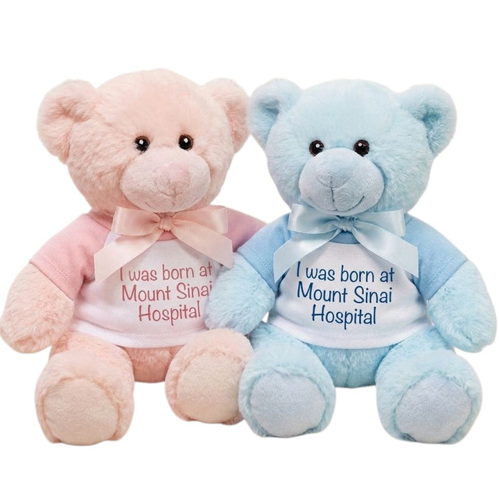 NEW I Was Born at Mount Sinai Teddy Bear (Pink)