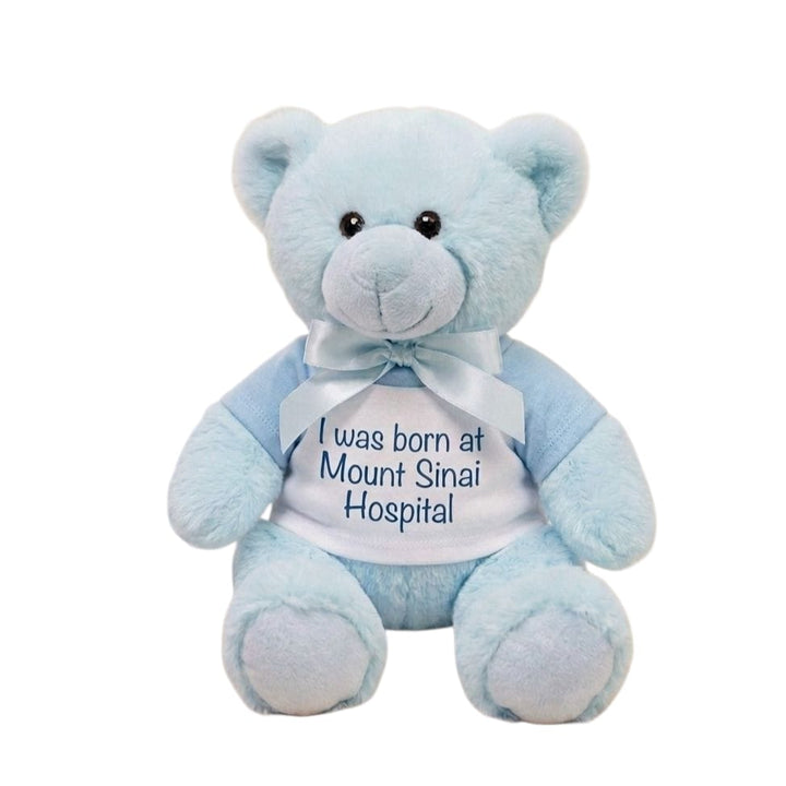 NEW I Was Born at Mount Sinai Teddy Bear (Blue)