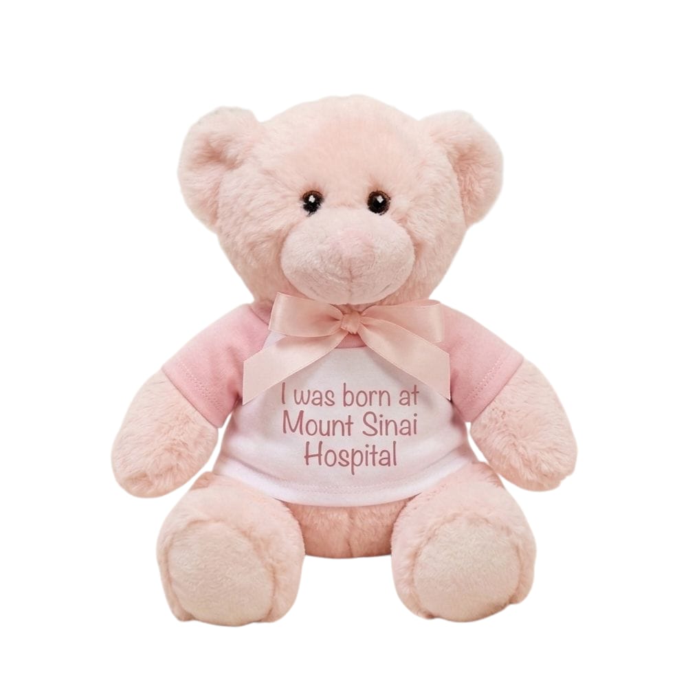 NEW I Was Born at Mount Sinai Teddy Bear (Pink)