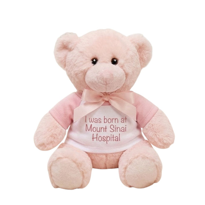NEW I Was Born at Mount Sinai Teddy Bear (Pink)